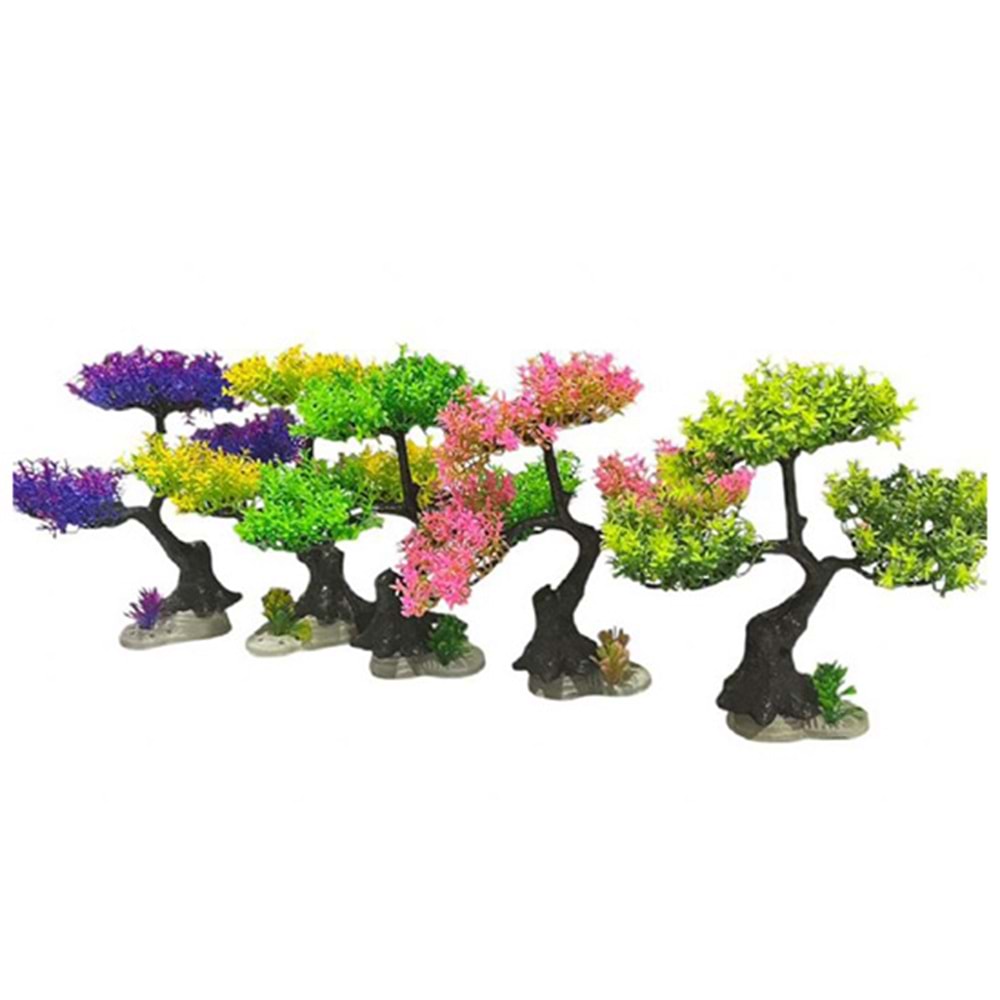4000091 BONZAİ BİTKİ 5 FARKLI RENK