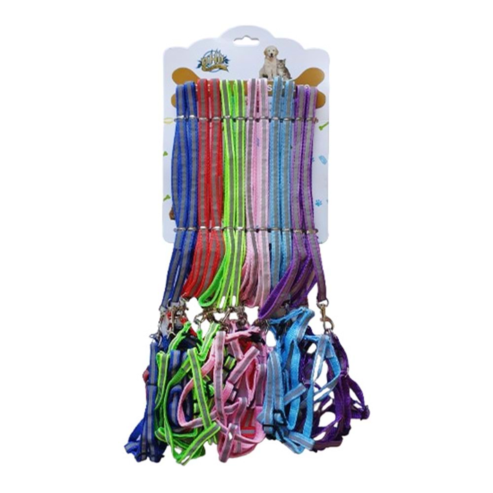 D-PETS NEON 1 CM GEZDİRME 12 Lİ KARTELA