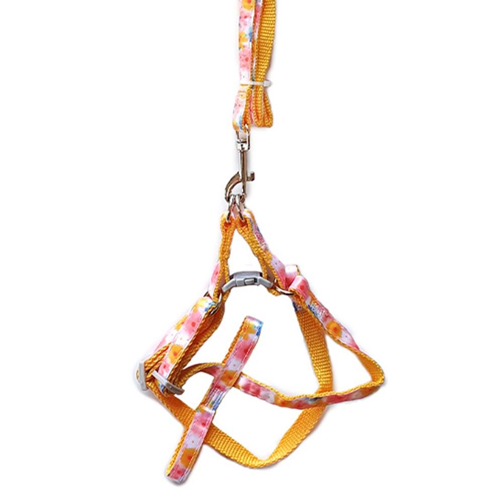 D-PETS RENKLİ DESENLİ GEZDİRME TASMA 1 CM