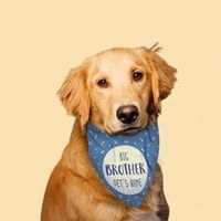 Köpek
