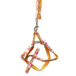 D-PETS RENKLİ DESENLİ GEZDİRME TASMA 1 CM