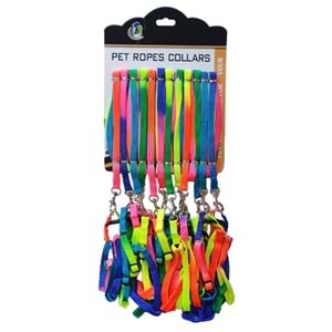 D-PETS GÖKKUŞAĞI RENKLİ KÜÇÜK GEZDİRME 12 Lİ KARTELA