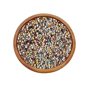 DAWBIRD G-303 GÜVERCİN YEMİ LÜX KARIŞIK 20 KG