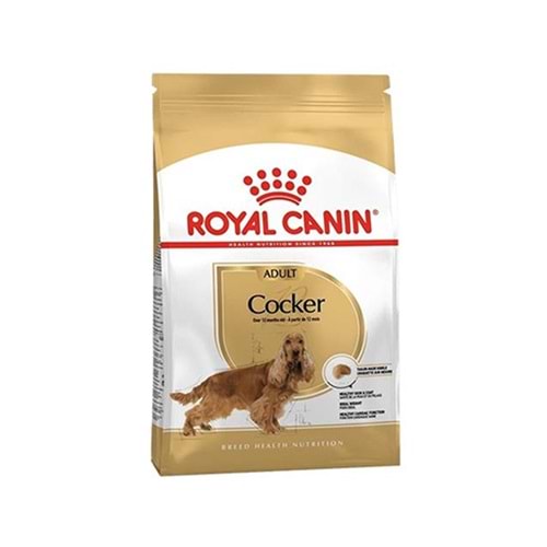 ROYAL CANIN 3 KG COCKER ADULT KÖPEK MAMASI