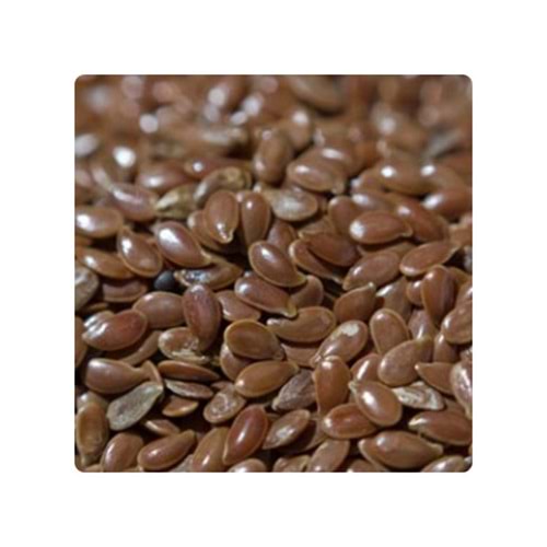 BOSSMAN KETEN TOHUMU