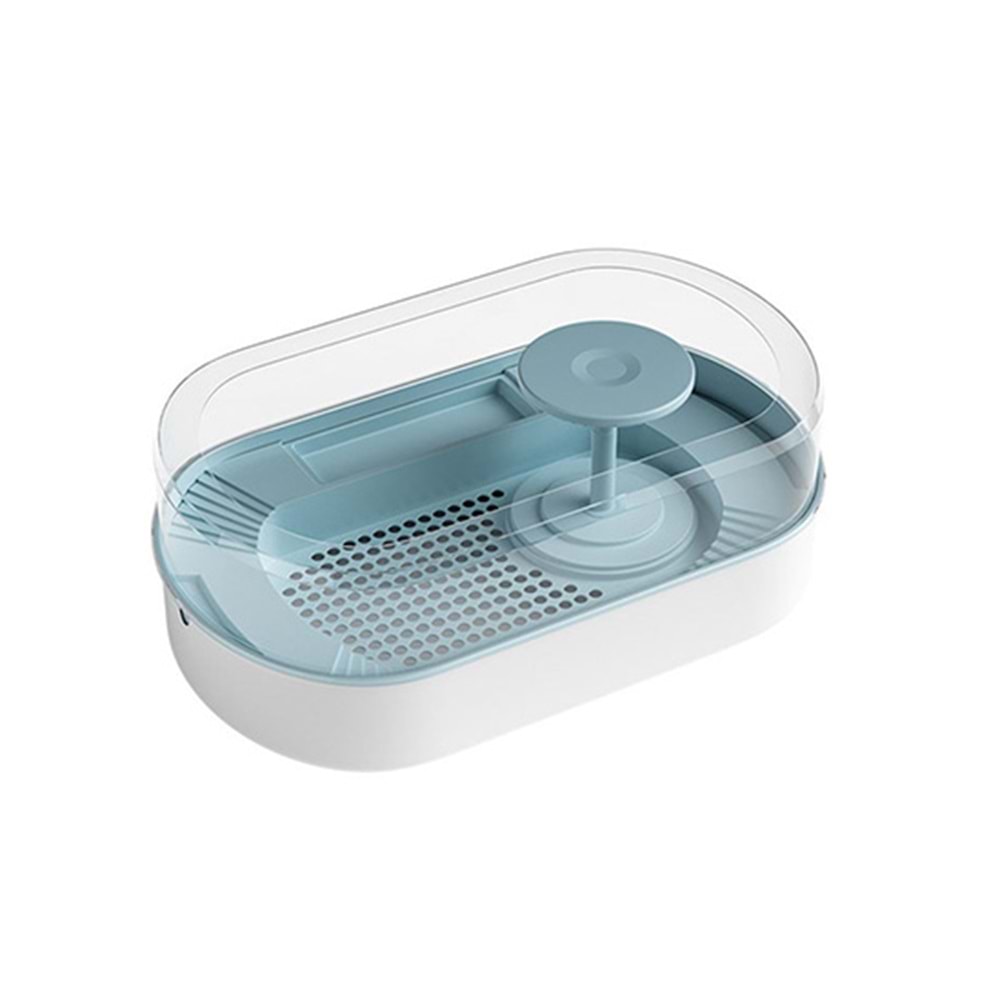 D-PETS KAPLUMBAĞA BAHÇESİ KÜÇÜK