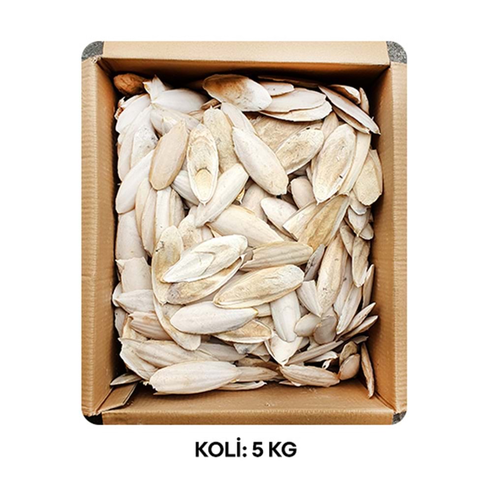 KALAMAR KEMİĞİ LÜX