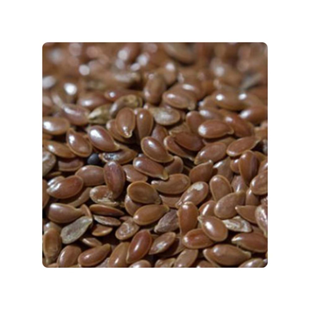 BOSSMAN KETEN TOHUMU